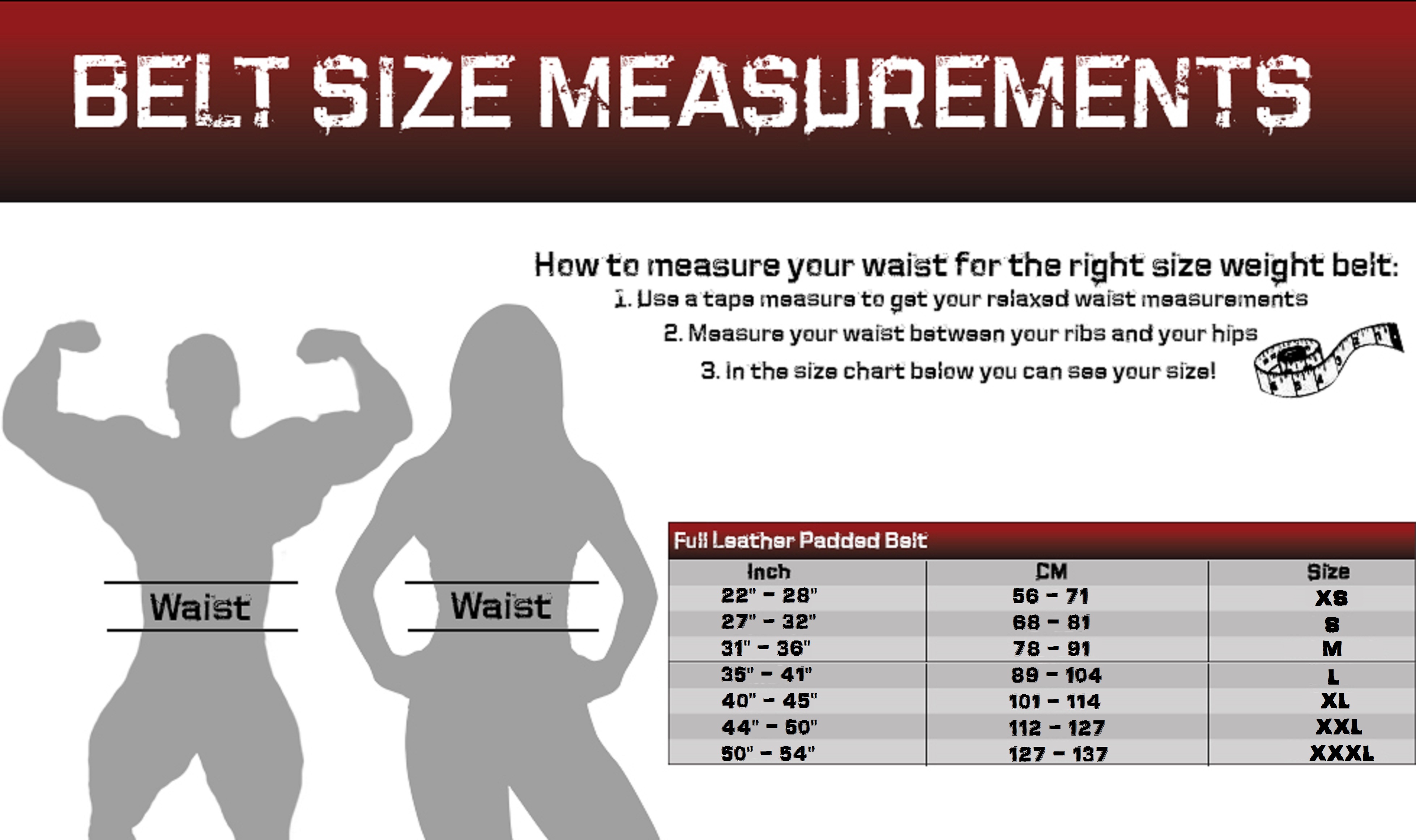 Everlast Weight Lifting Belt Size Chart